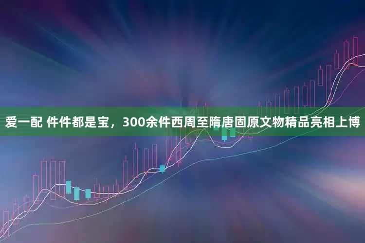 爱一配 件件都是宝，300余件西周至隋唐固原文物精品亮相上博