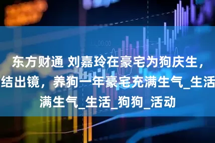 东方财通 刘嘉玲在豪宅为狗庆生，两只狗戴领结出镜，养狗一年豪宅充满生气_生活_狗狗_活动