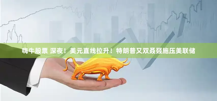 嗨牛股票 深夜！美元直线拉升！特朗普又双叒叕施压美联储