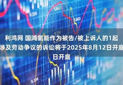 利鸿网 国鸿氢能作为被告/被上诉人的1起涉及劳动争议的诉讼将于2025年8月12日开庭